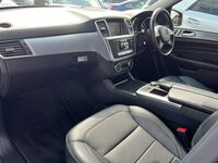 MERCEDES-BENZ M CLASS